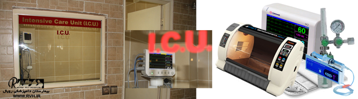 بخش مراقبت های ویژه بیمارستان دامپزشکی رویال | Royal Vet Hospital ICU